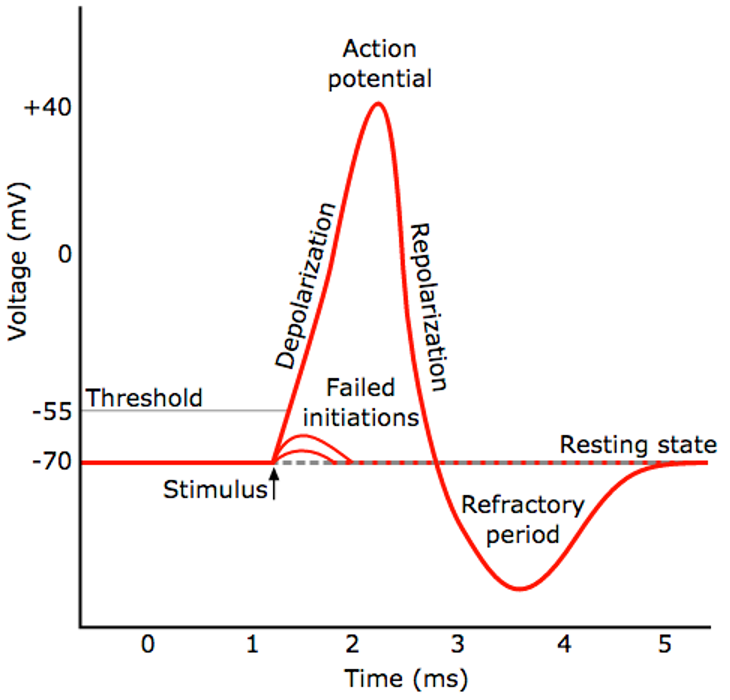 What do Spikes Mean?